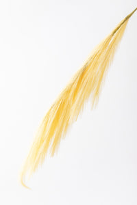 Yapay Pampas Çiçeği 100 Cm Tek Dal Sarı