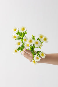 Yapay Papatya Demeti 35 Cm 5 Dal