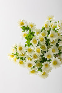 Yapay Papatya Demeti 35 Cm 5 Dal