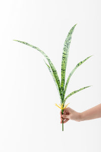 Yapay Paşa Kılıçı 70 Cm 5 Dal (Lux)