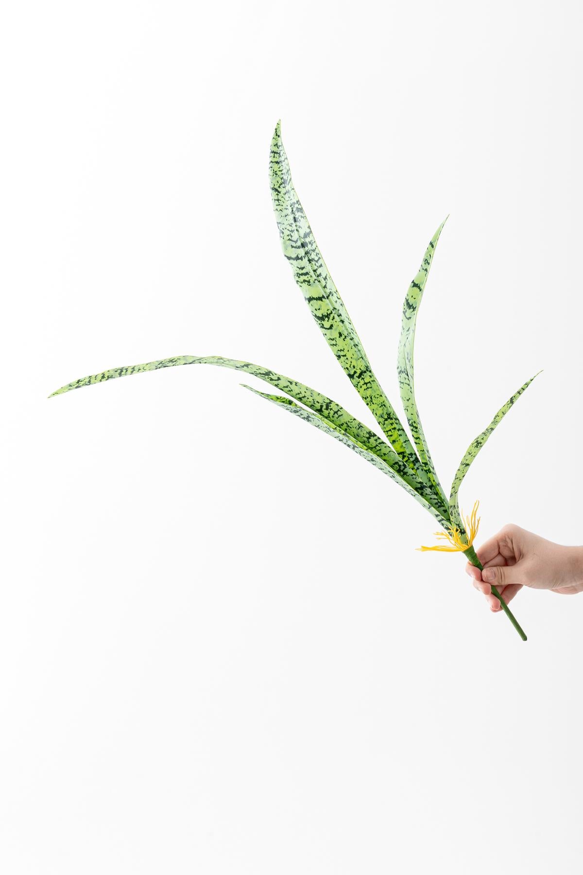 Yapay Paşa Kılıçı 70 Cm 5 Dal (Lux)