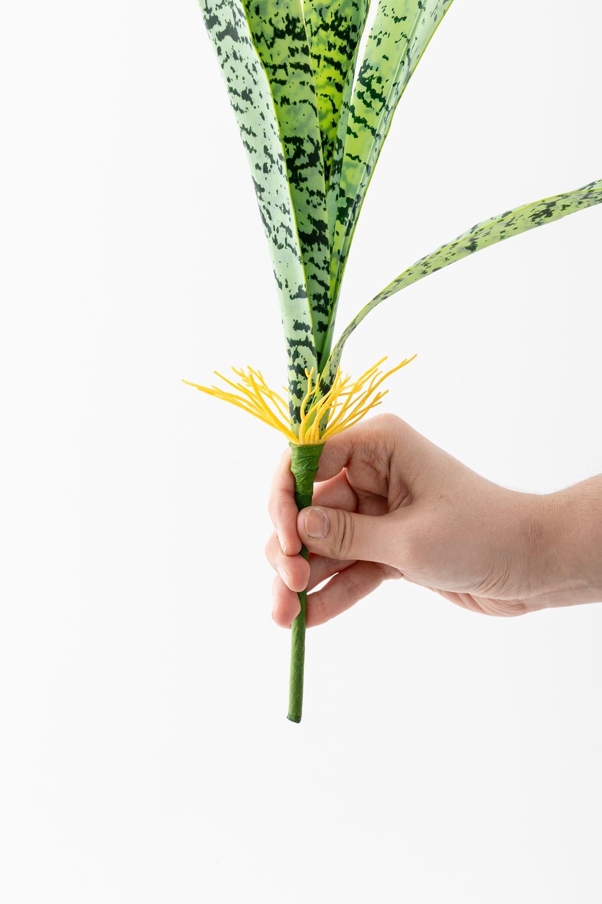 Yapay Paşa Kılıçı 70 Cm 5 Dal (Lux)