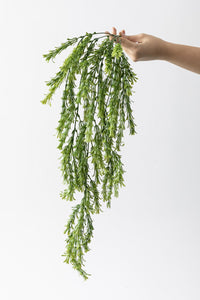 Yapay Püsküllü Sarmaşık Uv Korumalı Yeşil 80 Cm 5 Dal