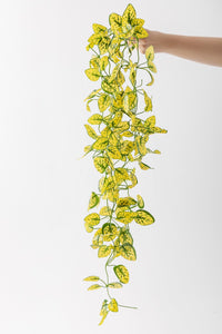 Yapay Renkli Sarmaşık 80 Cm 5 Dal Sarı