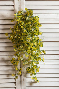 Yapay Renkli Sarmaşık 80 Cm 5 Dal Sarı