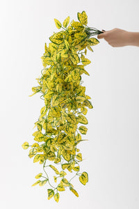 Yapay Renkli Sarmaşık 80 Cm 5 Dal Sarı