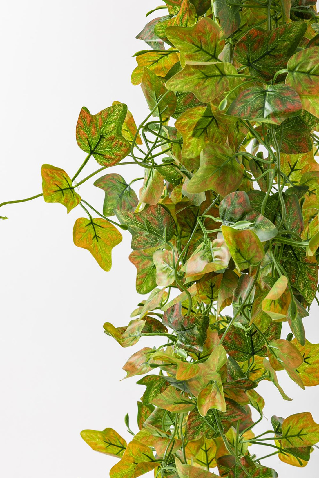 Yapay Renkli Sarmaşık 80 Cm 5 Dal Yeşil