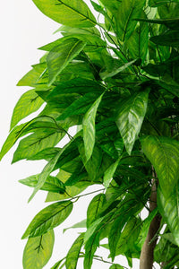 Yapay Salon Köşe Çiçeği 160 Cm Ceviz Ağacı