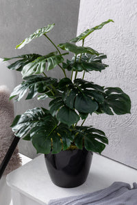 Yapay Salon Köşe Çiçeği 65 Cm Devetabanı