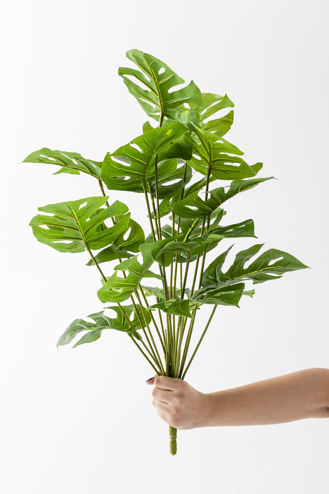 Yapay Salon Köşe Çiçeği 65 Cm Devetabanı (Saksısız)