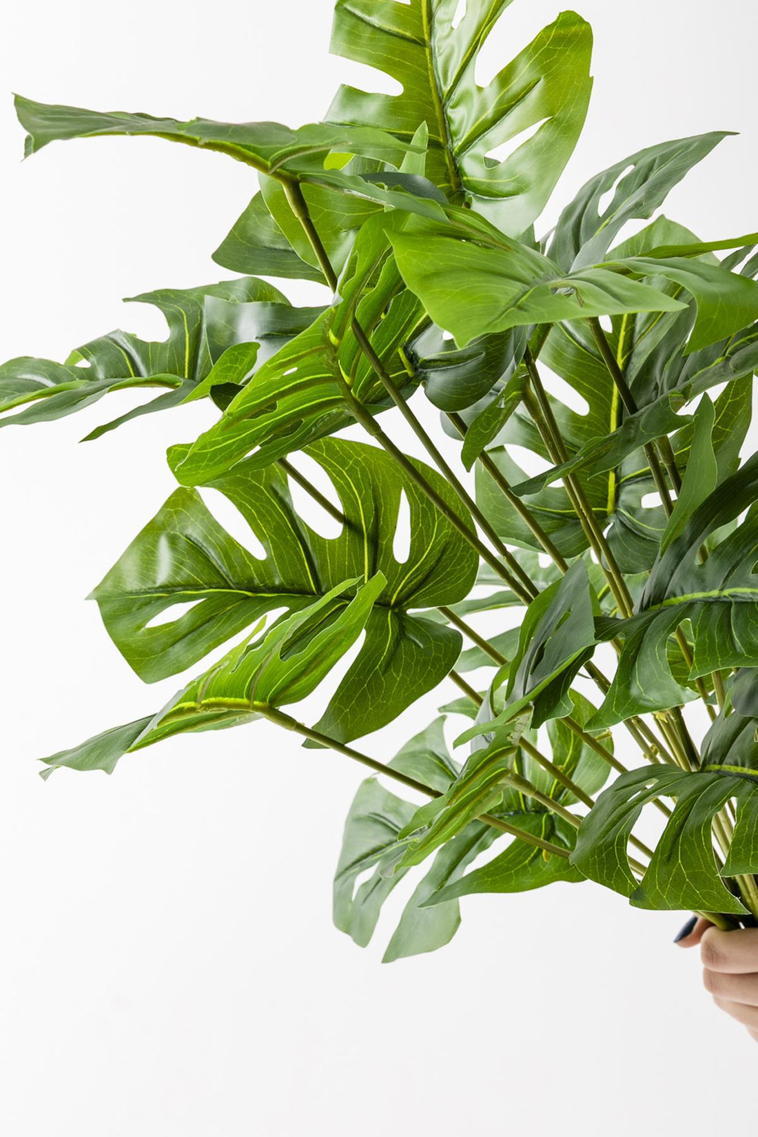 Yapay Salon Köşe Çiçeği 65 Cm Devetabanı (Saksısız)