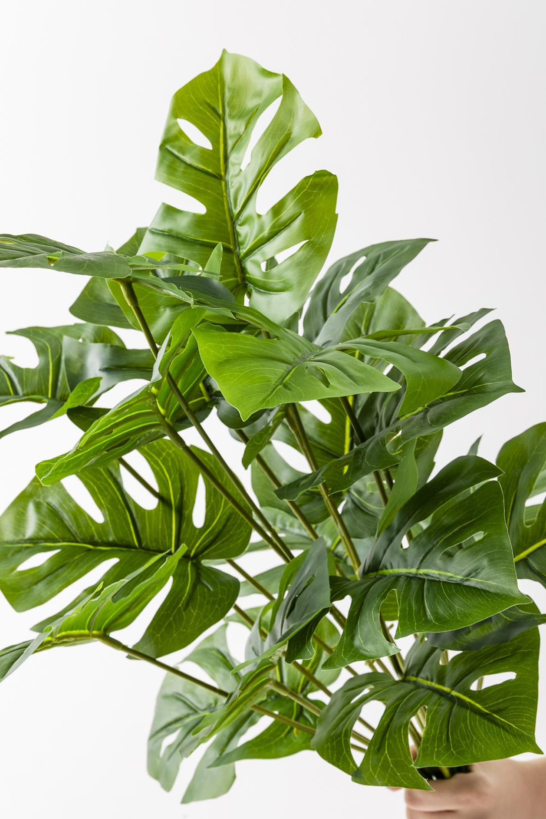 Yapay Salon Köşe Çiçeği 65 Cm Devetabanı (Saksısız)