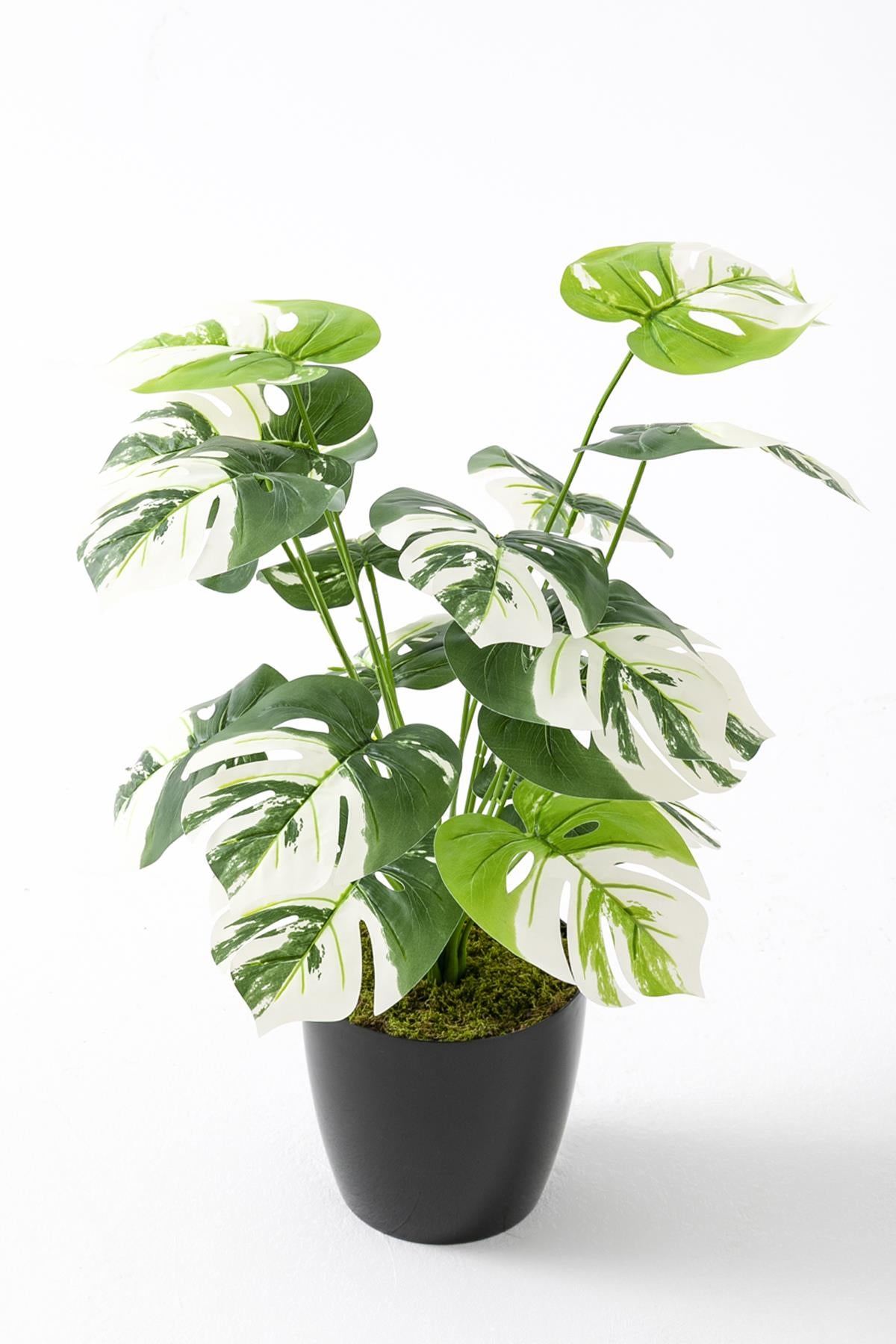 Yapay Salon Köşe Çiçeği Devetabanı Beyaz 65 Cm