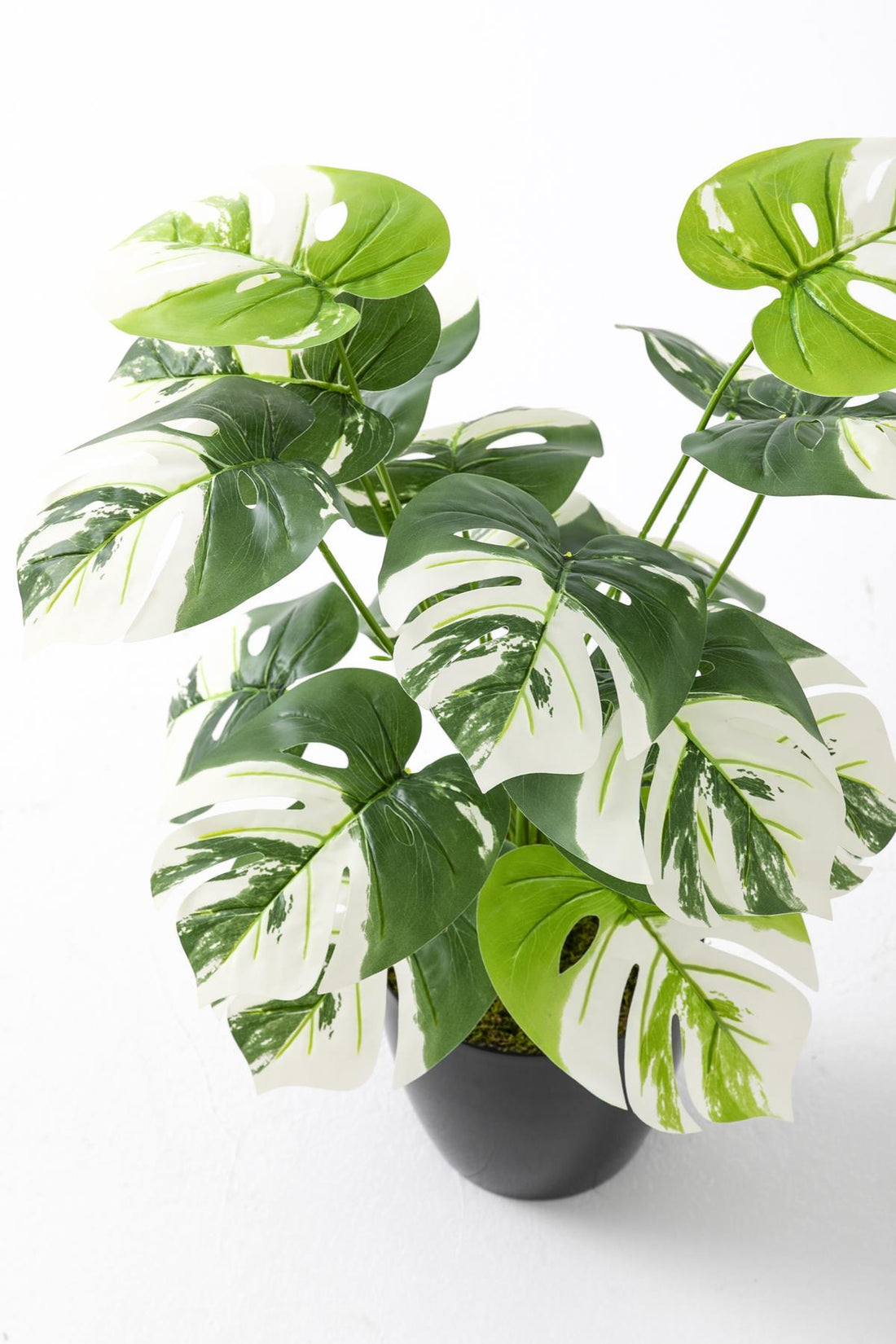 Yapay Salon Köşe Çiçeği Devetabanı Beyaz 65 Cm