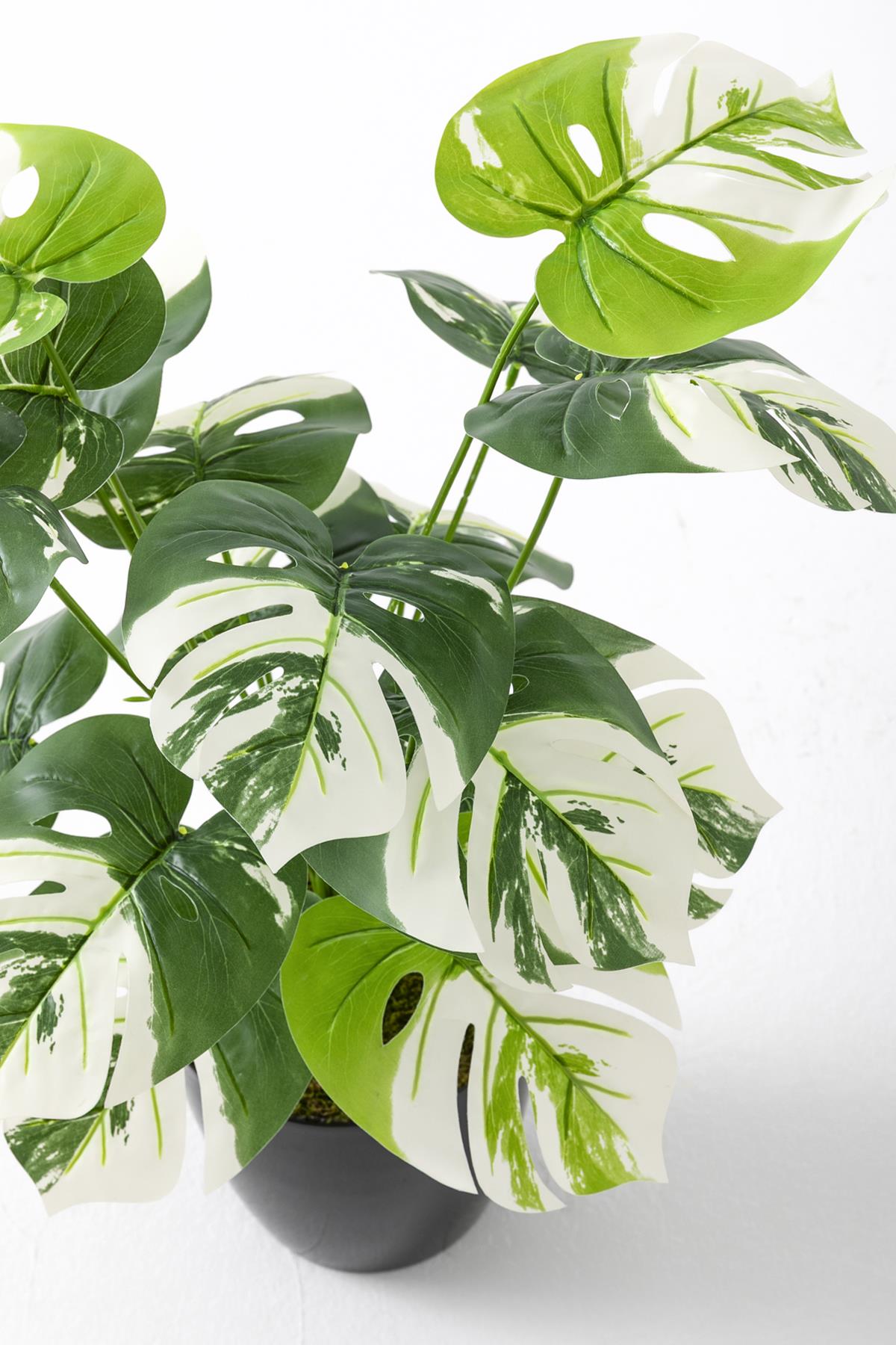 Yapay Salon Köşe Çiçeği Devetabanı Beyaz 65 Cm