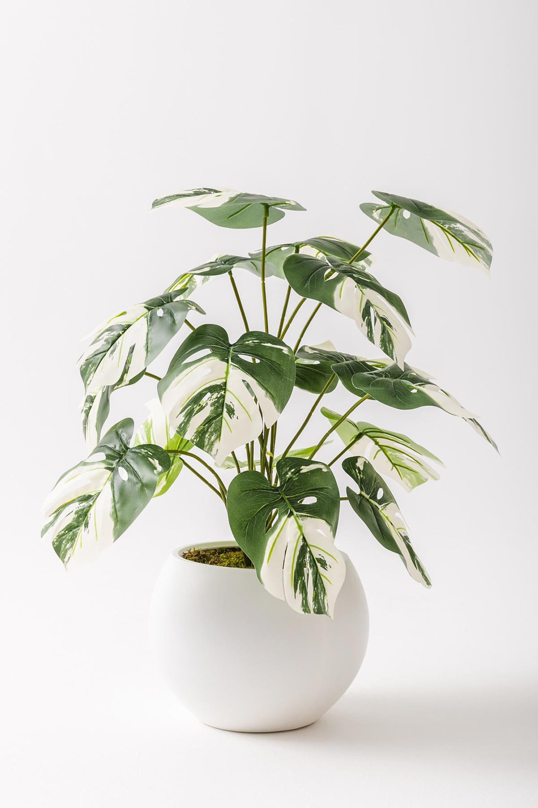 Yapay Salon Köşe Çiçeği Devetabanı Beyaz 65 Cm Küre Saksı