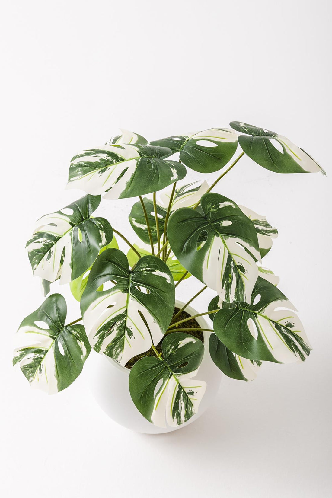 Yapay Salon Köşe Çiçeği Devetabanı Beyaz 65 Cm Küre Saksı