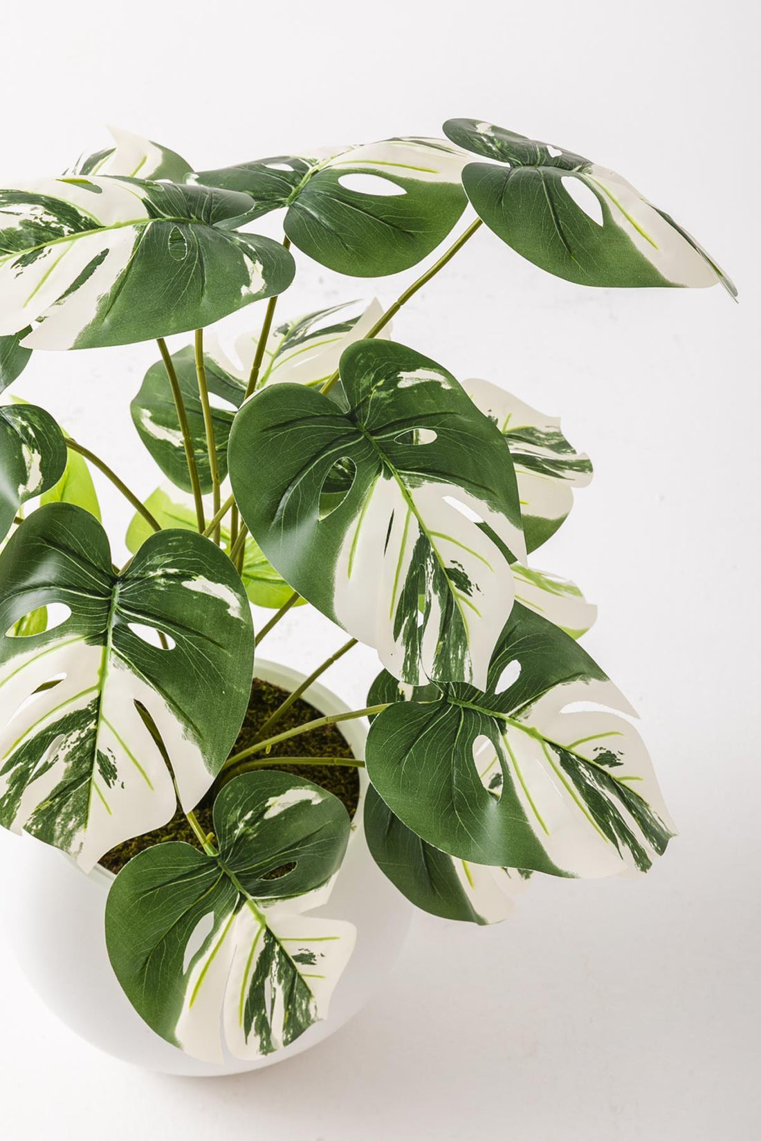 Yapay Salon Köşe Çiçeği Devetabanı Beyaz 65 Cm Küre Saksı