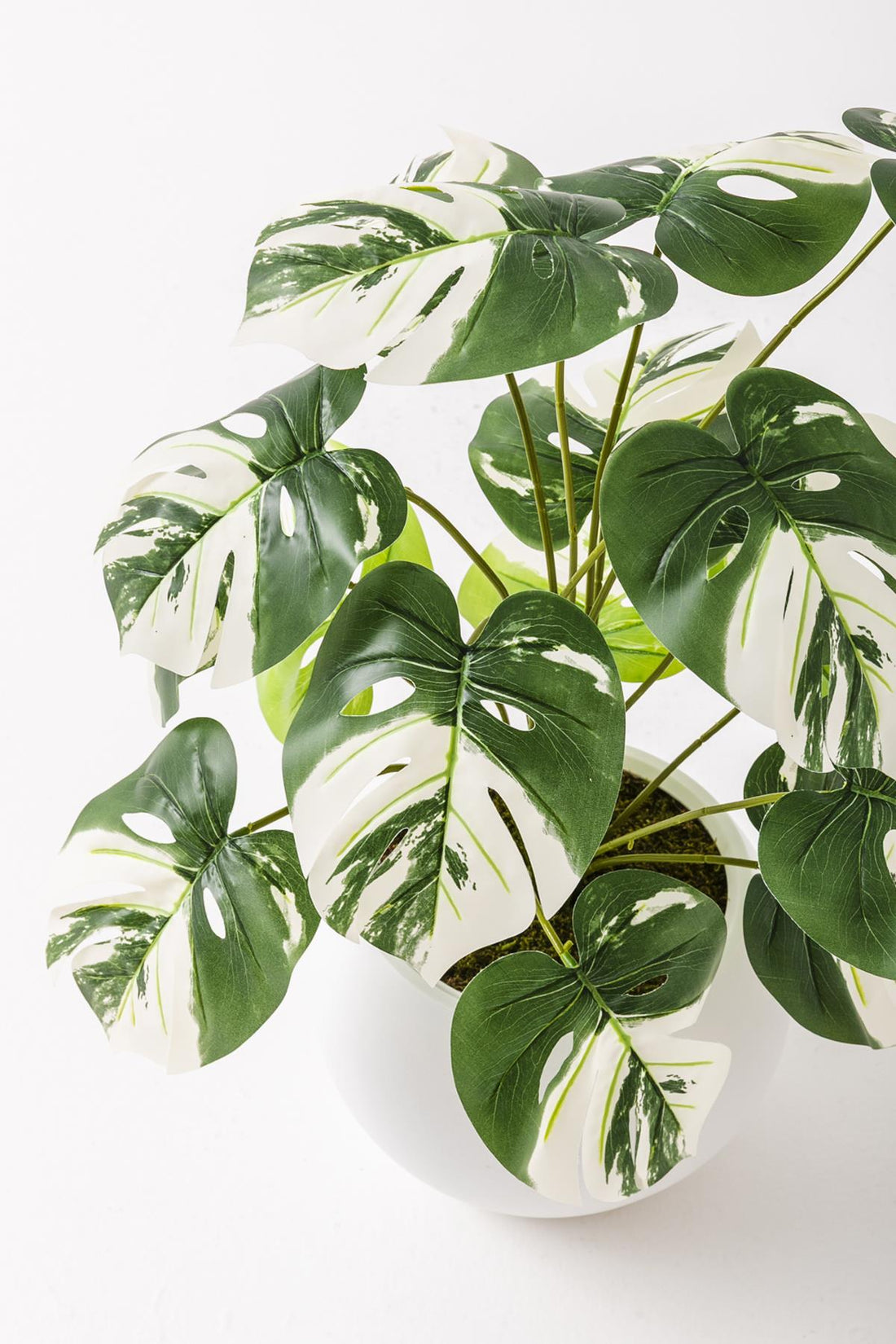 Yapay Salon Köşe Çiçeği Devetabanı Beyaz 65 Cm Küre Saksı