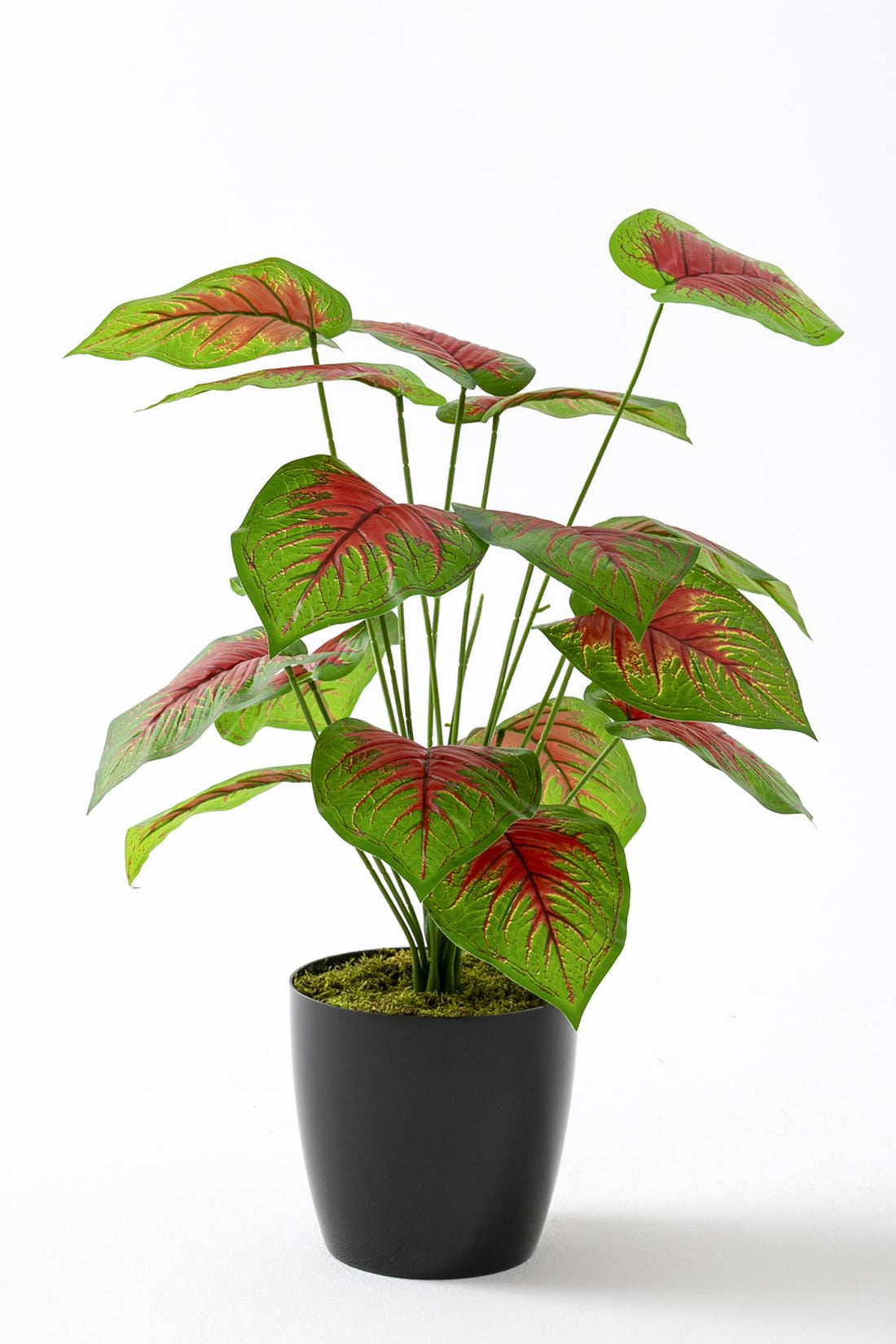 Yapay Salon Köşe Çiçeği Devetabanı Kırmızı 65 Cm