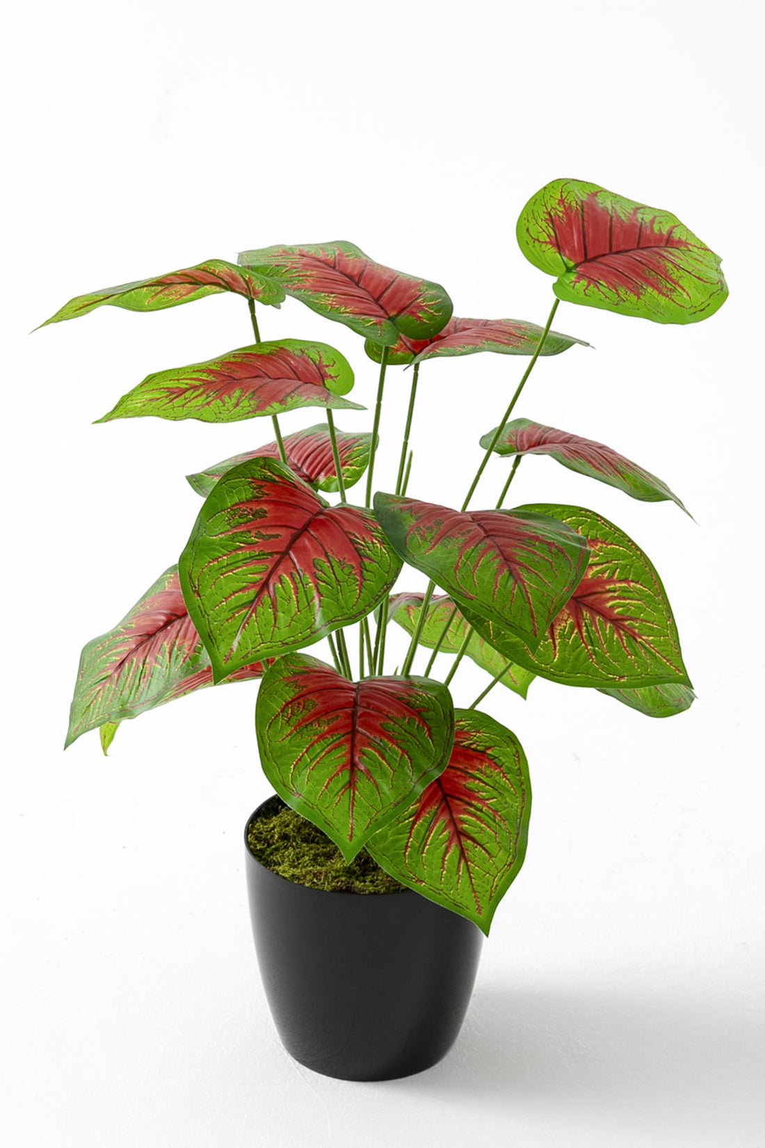 Yapay Salon Köşe Çiçeği Devetabanı Kırmızı 65 Cm