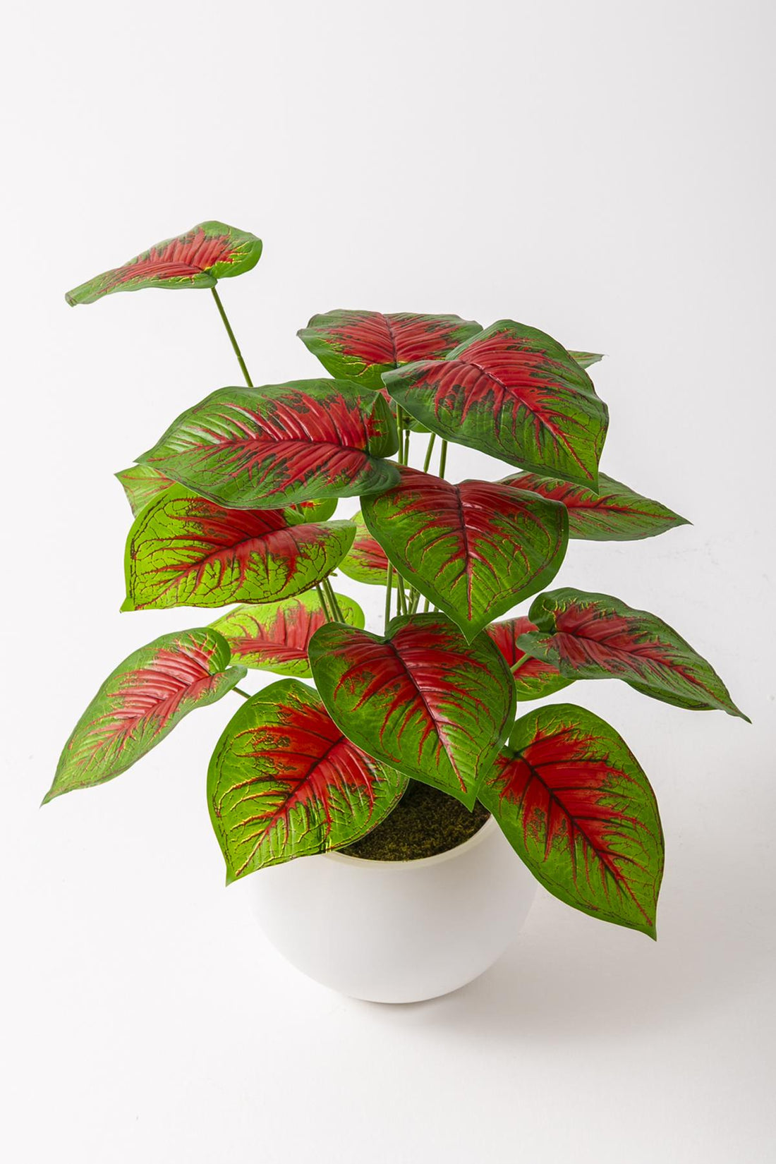 Yapay Salon Köşe Çiçeği Devetabanı Kırmızı 65 Cm Küre Saksı