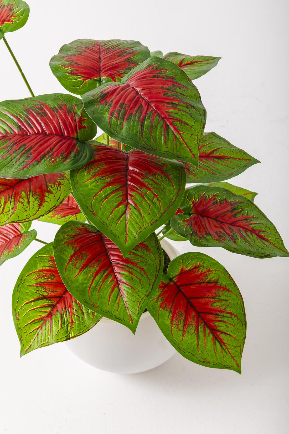 Yapay Salon Köşe Çiçeği Devetabanı Kırmızı 65 Cm Küre Saksı