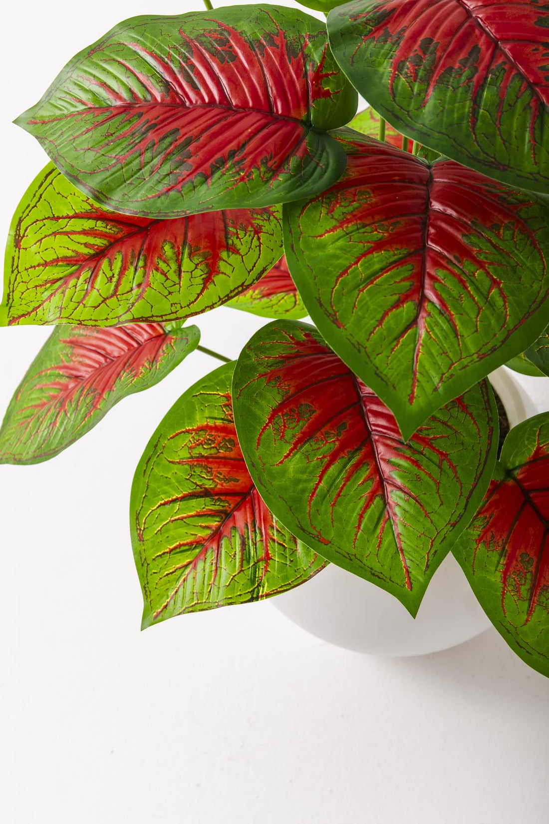 Yapay Salon Köşe Çiçeği Devetabanı Kırmızı 65 Cm Küre Saksı