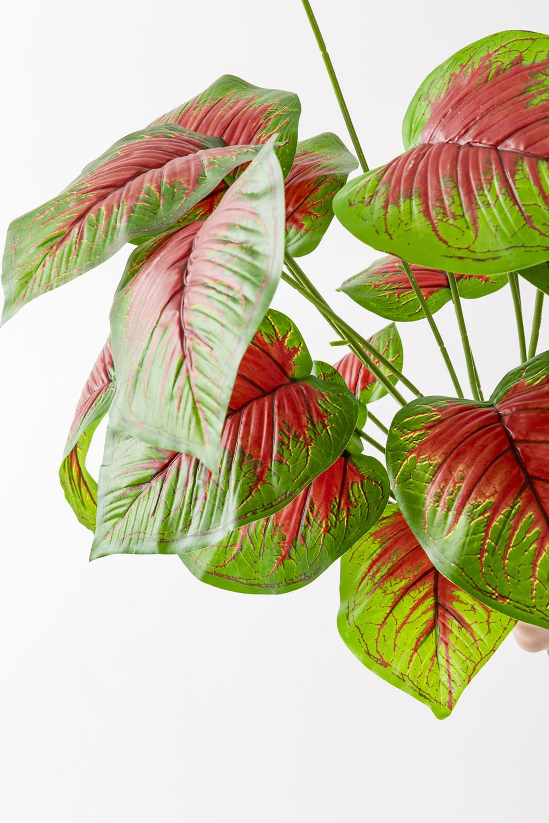 Yapay Salon Köşe Çiçeği Devetabanı Kırmızı 65 Cm Saksısız