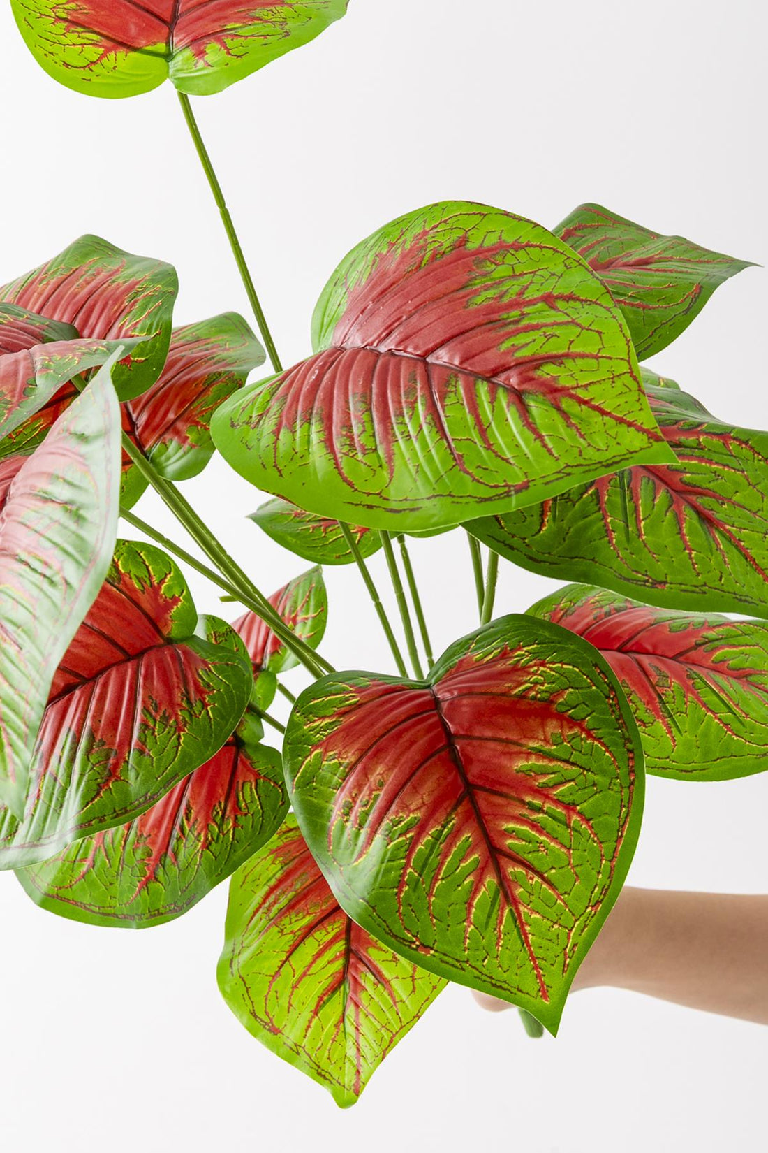 Yapay Salon Köşe Çiçeği Devetabanı Kırmızı 65 Cm Saksısız