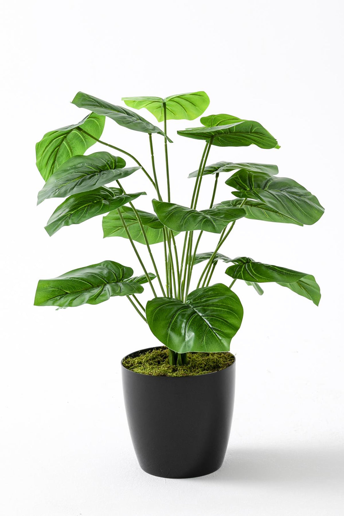 Yapay Salon Köşe Çiçeği Devetabanı Yeşil 65 Cm