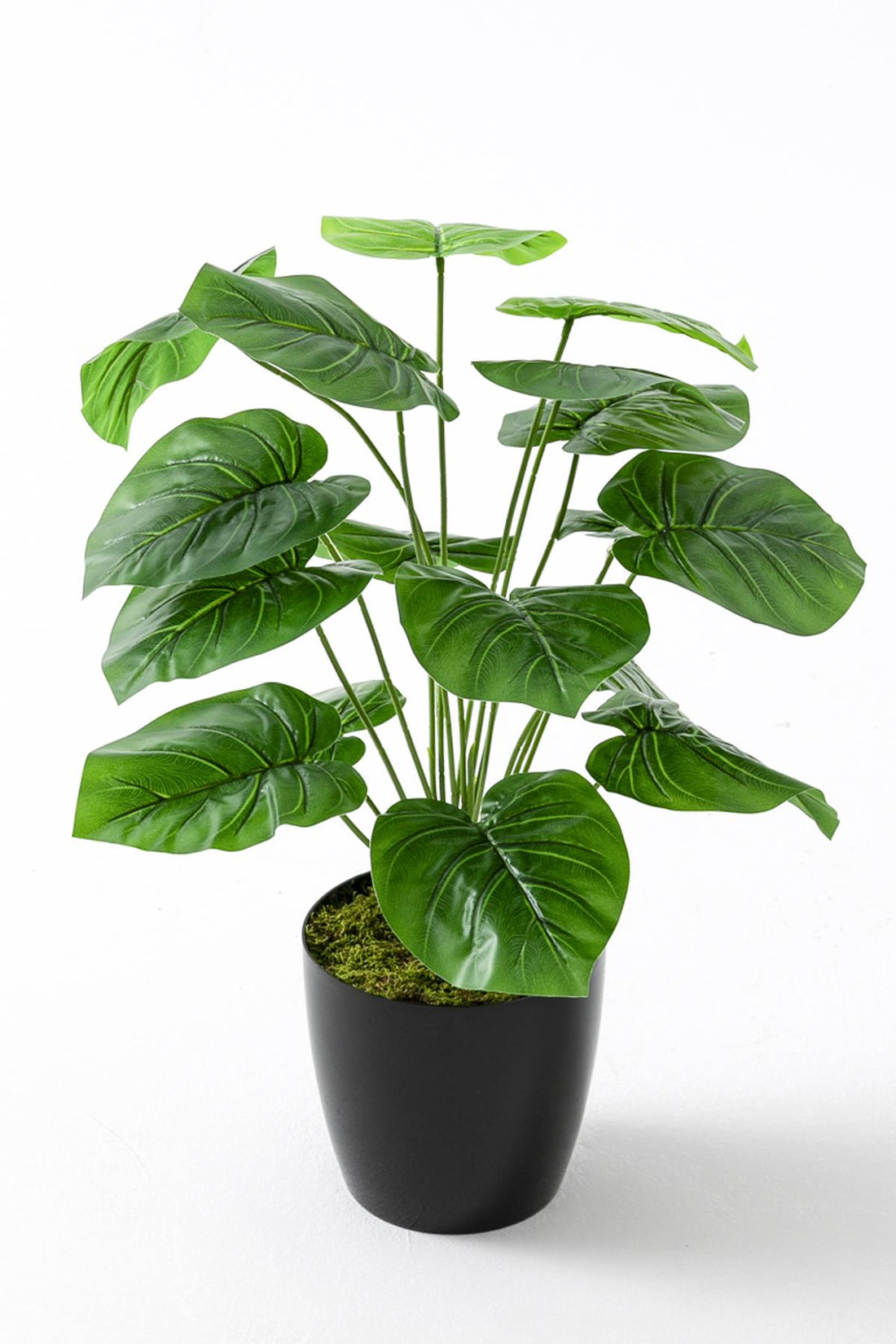 Yapay Salon Köşe Çiçeği Devetabanı Yeşil 65 Cm