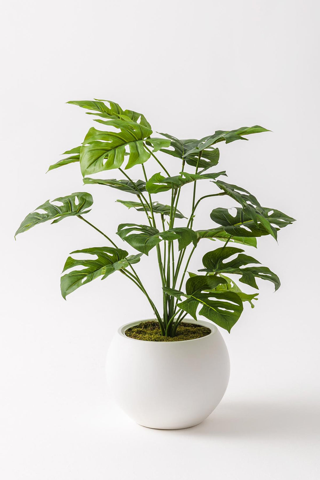 Yapay Salon Köşe Çiçeği Devetabanı Yeşil 65 Cm Küre Saksı