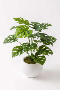 Yapay Salon Köşe Çiçeği Devetabanı Yeşil 65 Cm Küre Saksı