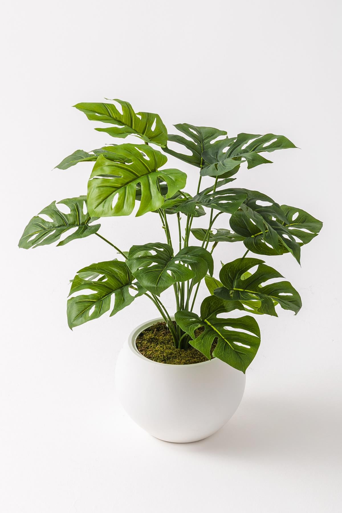 Yapay Salon Köşe Çiçeği Devetabanı Yeşil 65 Cm Küre Saksı