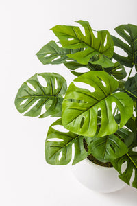 Yapay Salon Köşe Çiçeği Devetabanı Yeşil 65 Cm Küre Saksı