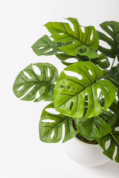 Yapay Salon Köşe Çiçeği Devetabanı Yeşil 65 Cm Küre Saksı