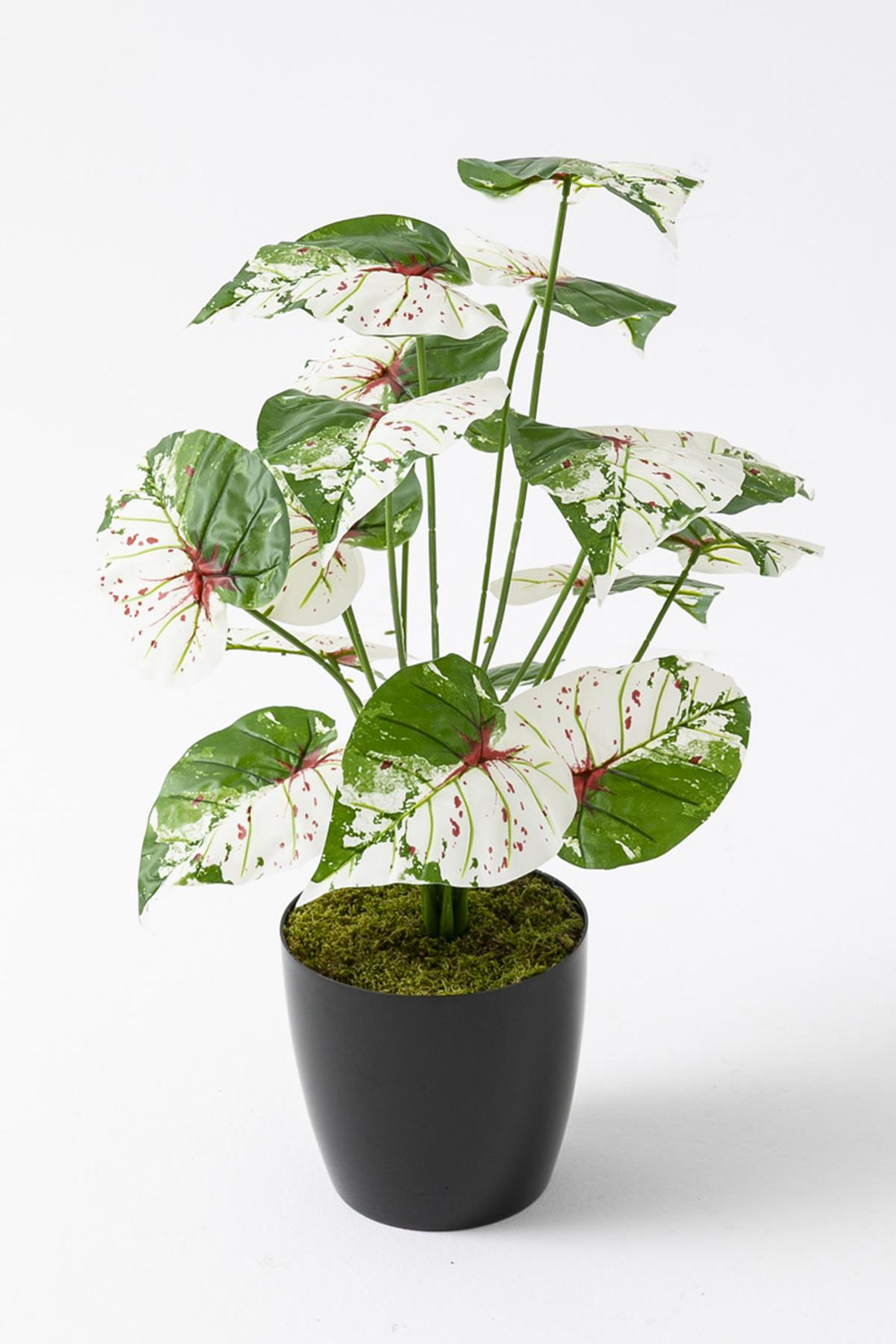 Yapay Salon Köşe Çiçeği Devetabanı Yeşil Pembe 65 Cm