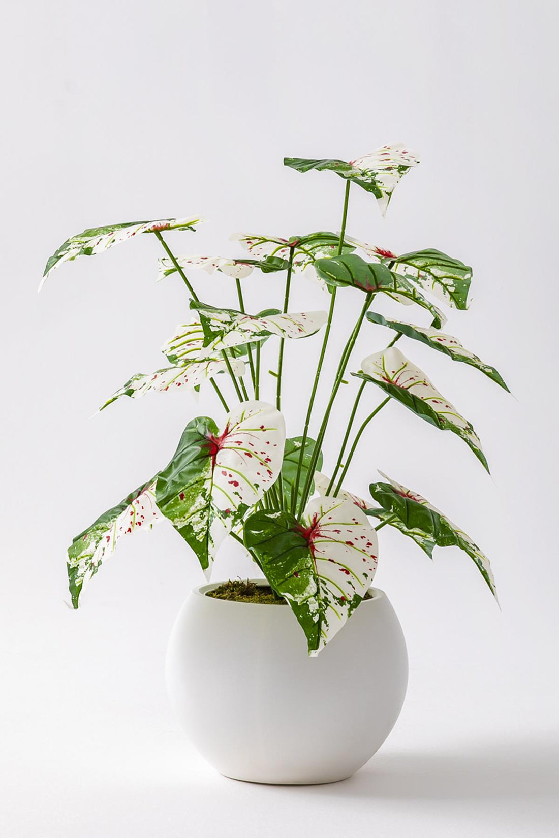 Yapay Salon Köşe Çiçeği Devetabanı Yeşil Pembe 65 Cm Küre Saksı