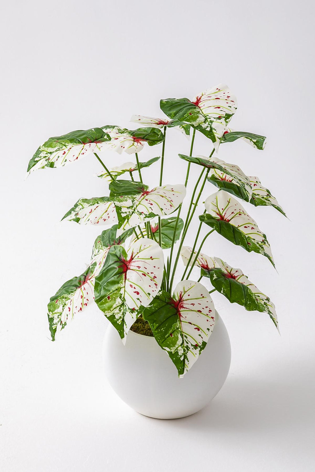 Yapay Salon Köşe Çiçeği Devetabanı Yeşil Pembe 65 Cm Küre Saksı