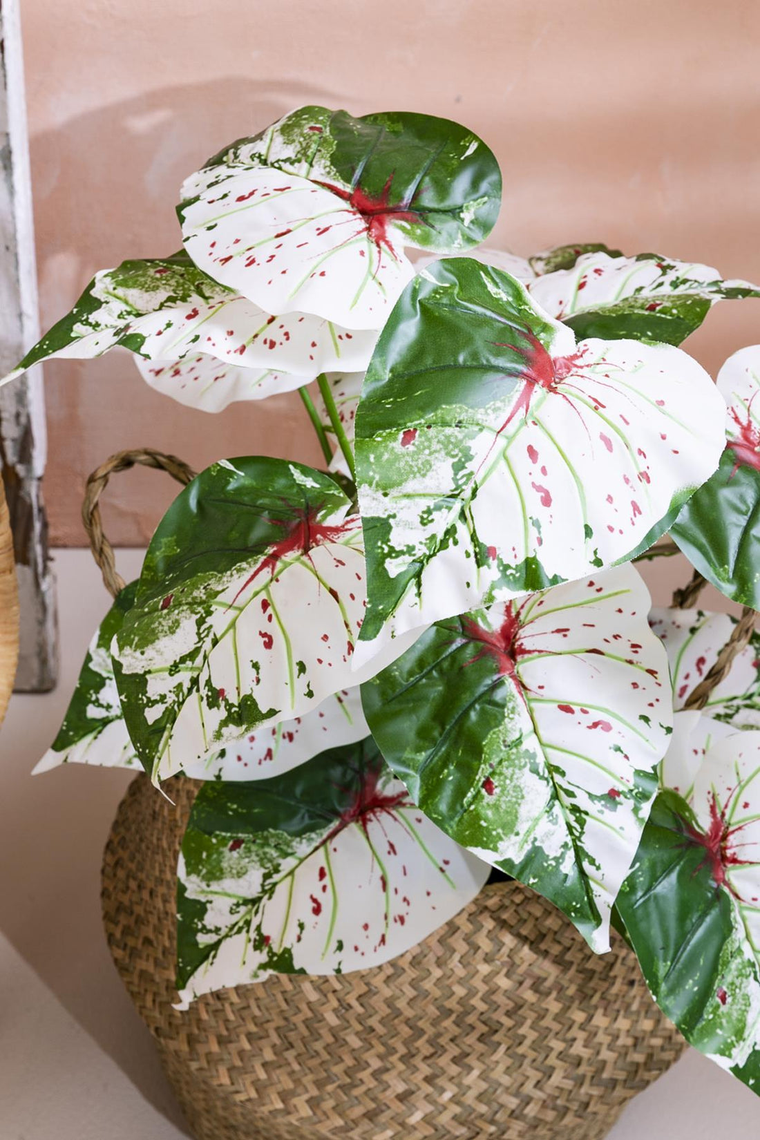 Yapay Salon Köşe Çiçeği Devetabanı Yeşil Pembe 65 Cm Saksısız