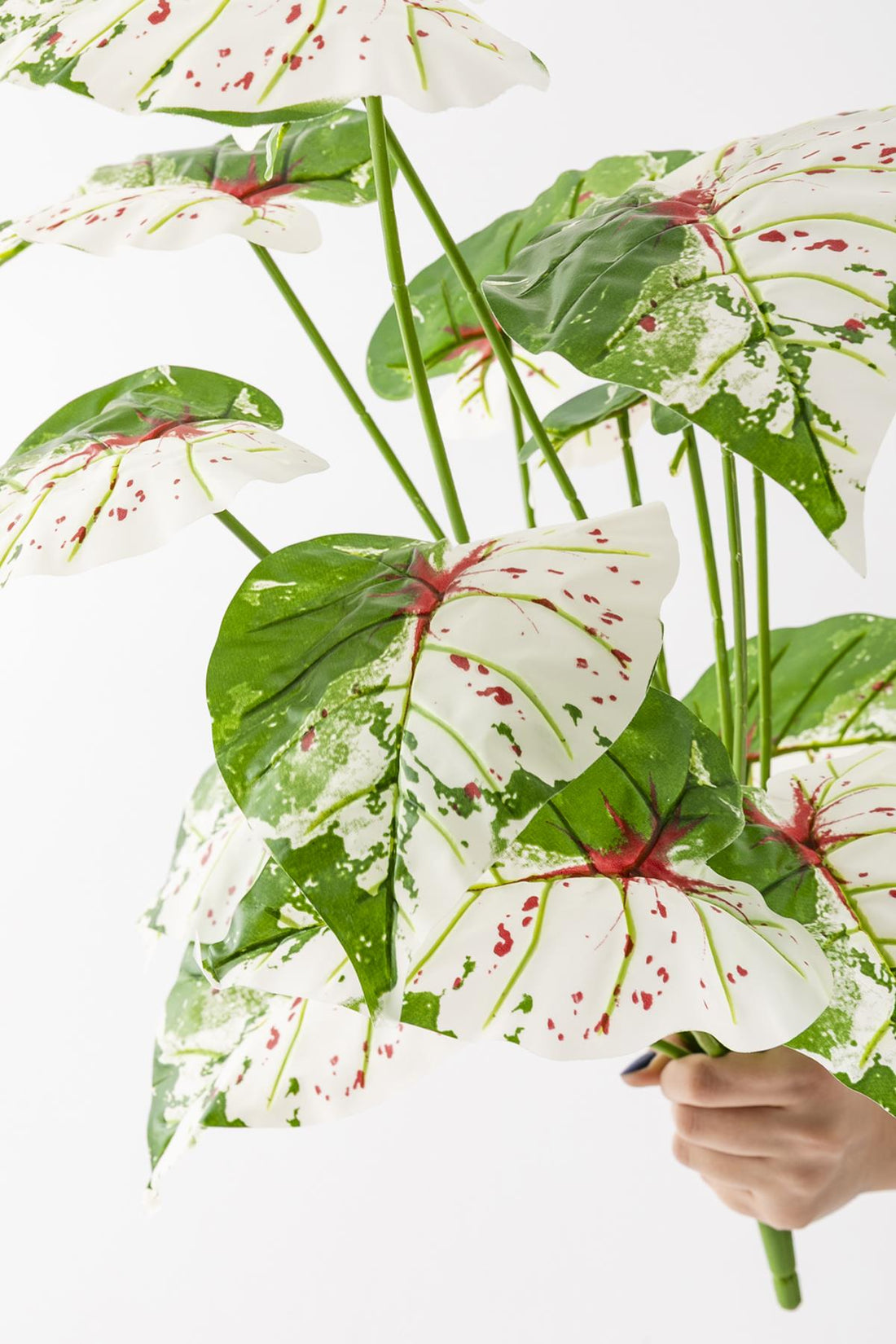 Yapay Salon Köşe Çiçeği Devetabanı Yeşil Pembe 65 Cm Saksısız