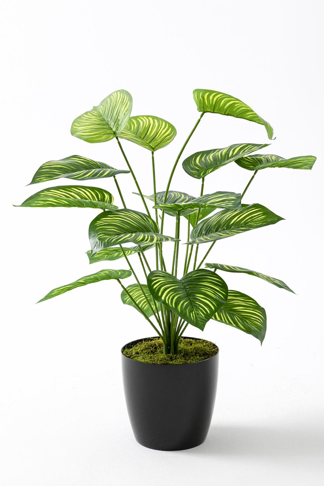 Yapay Salon Köşe Çiçeği Devetabanı Yeşil Sarı 65 Cm