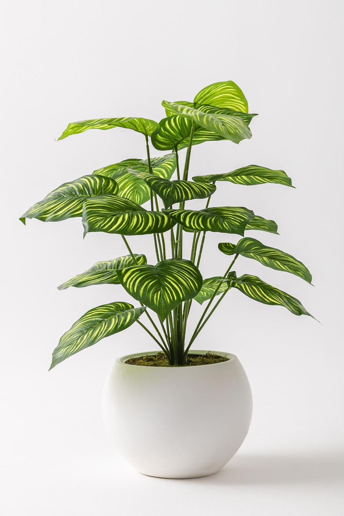 Yapay Salon Köşe Çiçeği Devetabanı Yeşil Sarı 65 Cm Küre Plastik