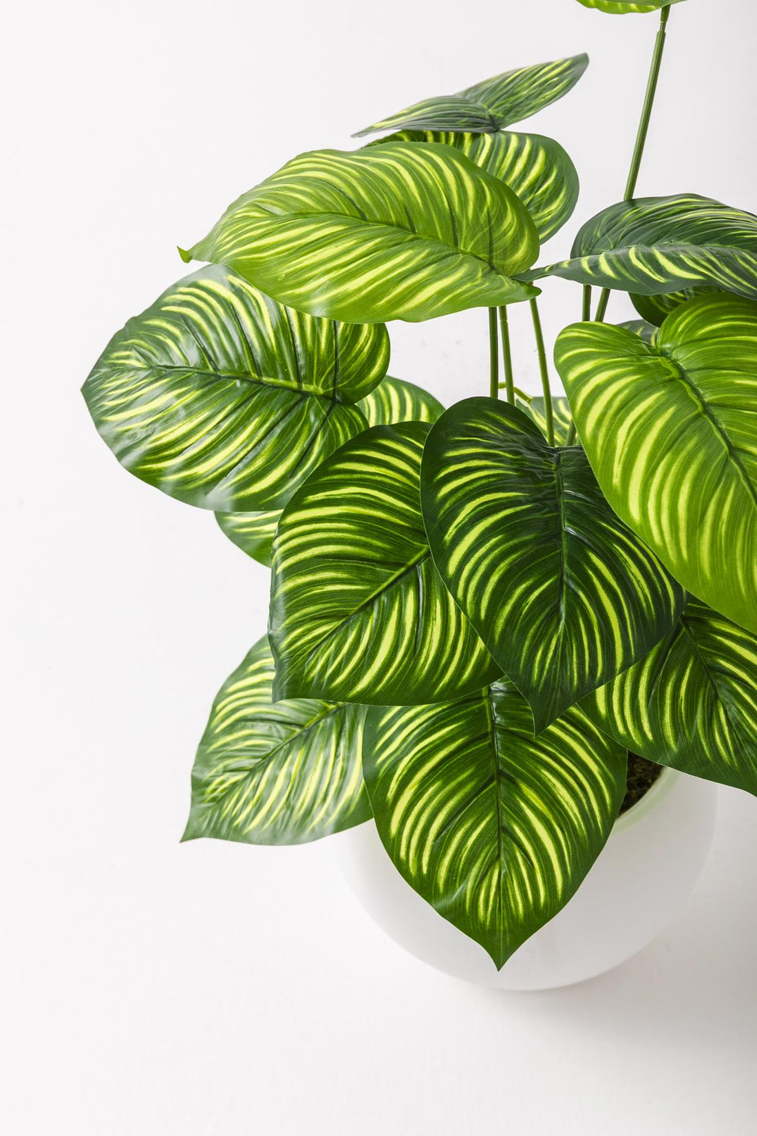 Yapay Salon Köşe Çiçeği Devetabanı Yeşil Sarı 65 Cm Küre Plastik