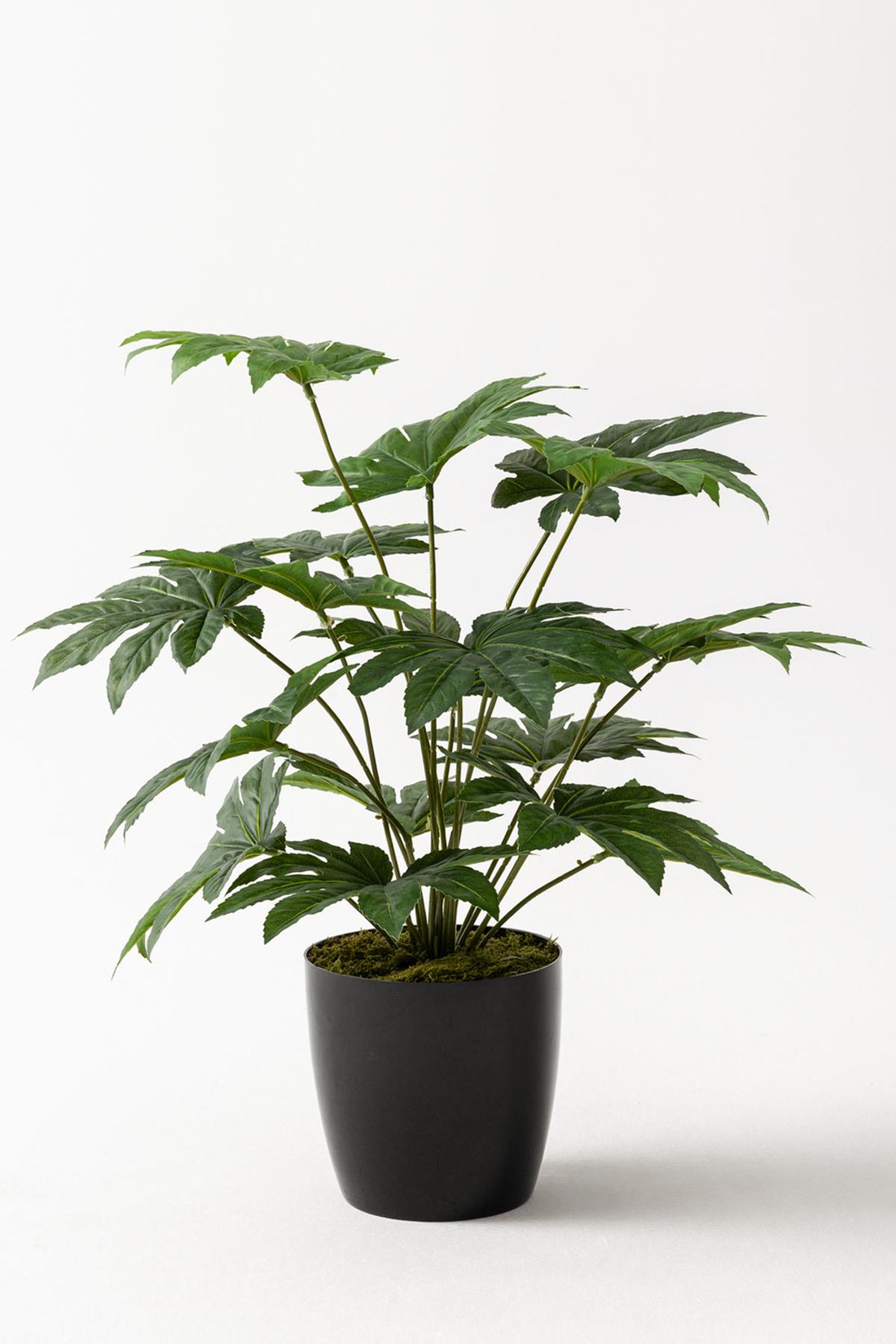 Yapay Salon Köşe Çiçeği Japon Çınar 80 Cm