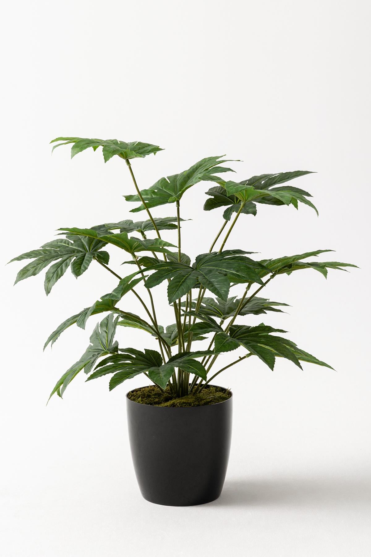 Yapay Salon Köşe Çiçeği Japon Çınar 80 Cm