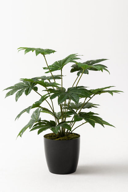 Yapay Salon Köşe Çiçeği Japon Çınar 80 Cm