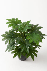 Yapay Salon Köşe Çiçeği Japon Çınar 80 Cm