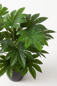 Yapay Salon Köşe Çiçeği Japon Çınar 80 Cm